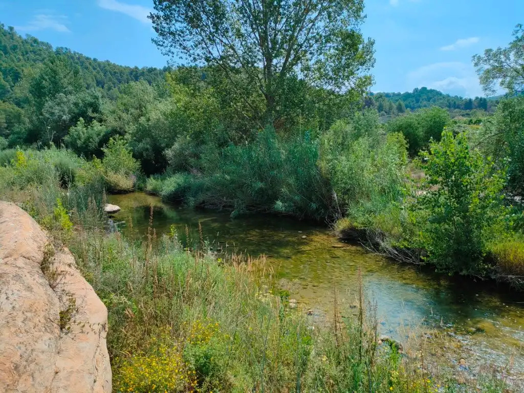 Terreni e lotti in vendita a Arens de Lledó, imagen 12