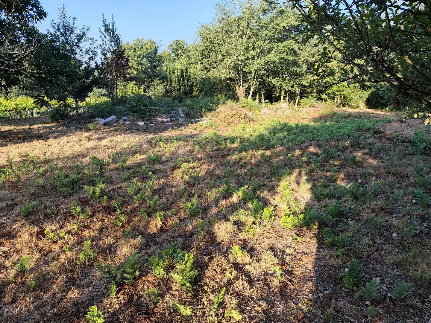 Terreny residencial en venda a Barrio Rabadáns Alxén Campo, imagen 3
