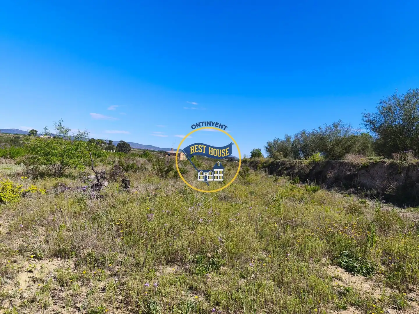 House for sale in Albaida, imagen 14