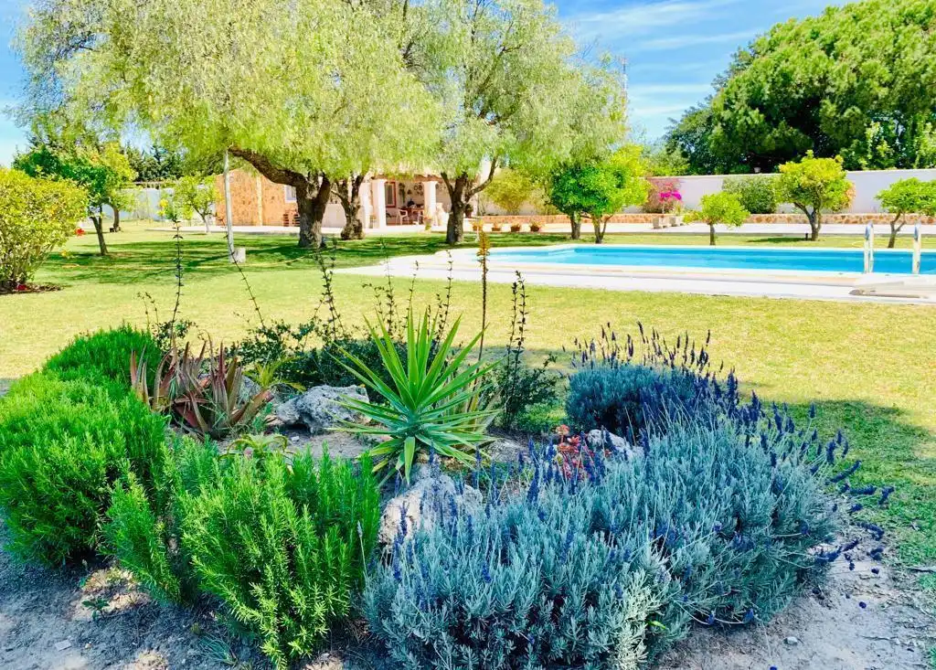 Jardí de Casa o xalet en venda en Puerto Real amb Piscina