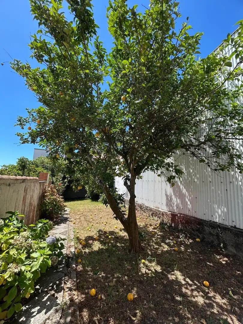 Jardí de Casa o xalet en venda en A Pobra do Caramiñal amb Moblat