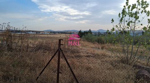 Foto 2 de Finca rústica en venta en Este, Badajoz