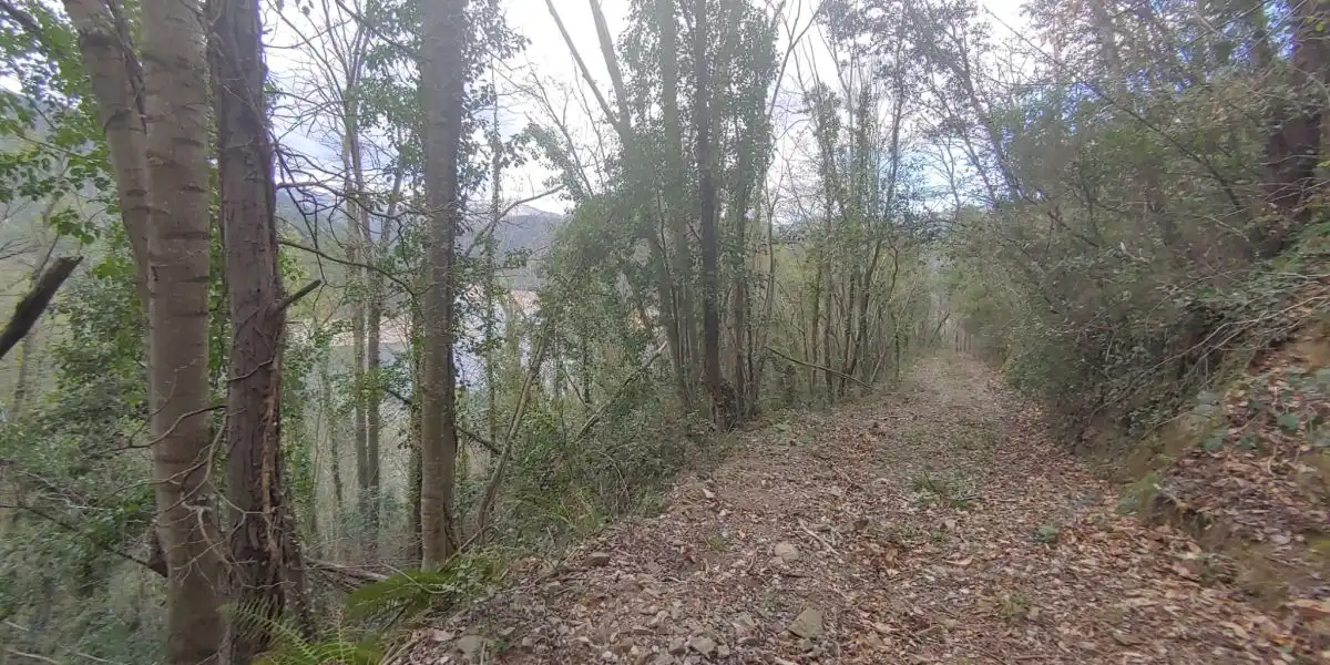 Residencial en venda en Susqueda