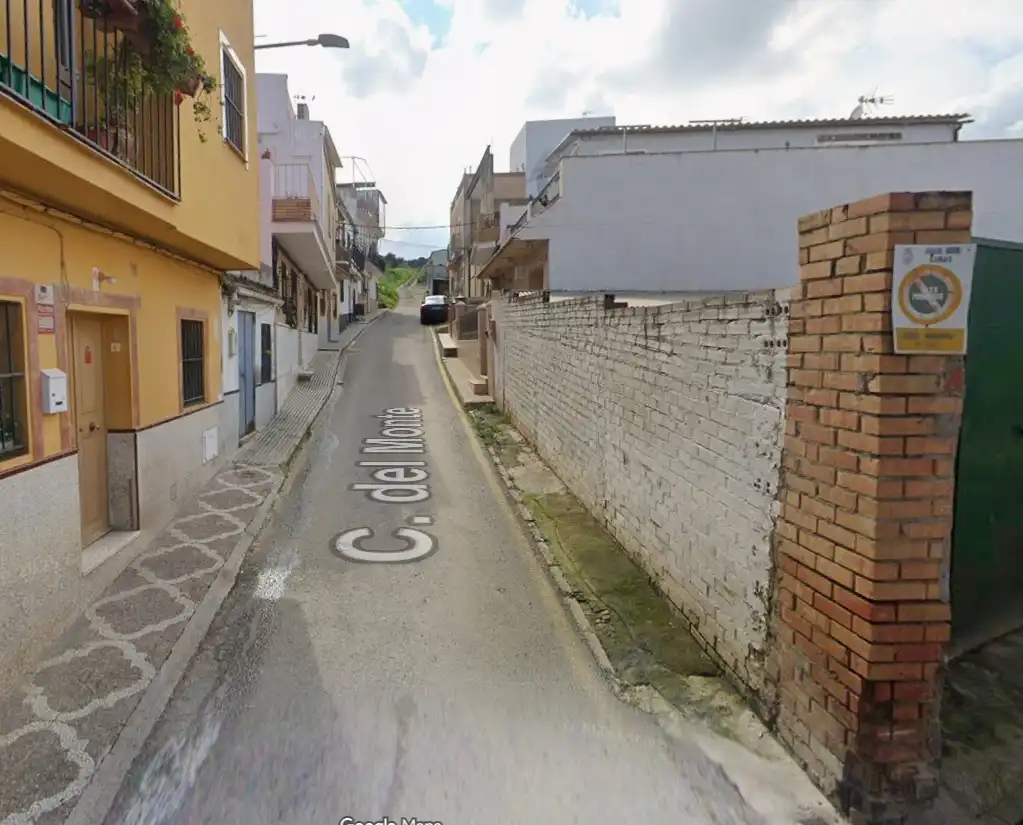 Terreny rústic en venda a Calle del Monte, imagen 4