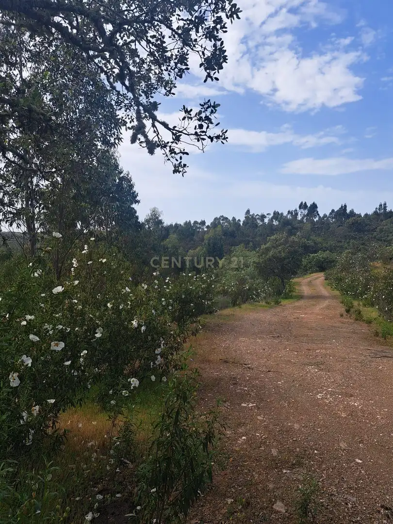 Terreno en venta en Herrera de Alcántara