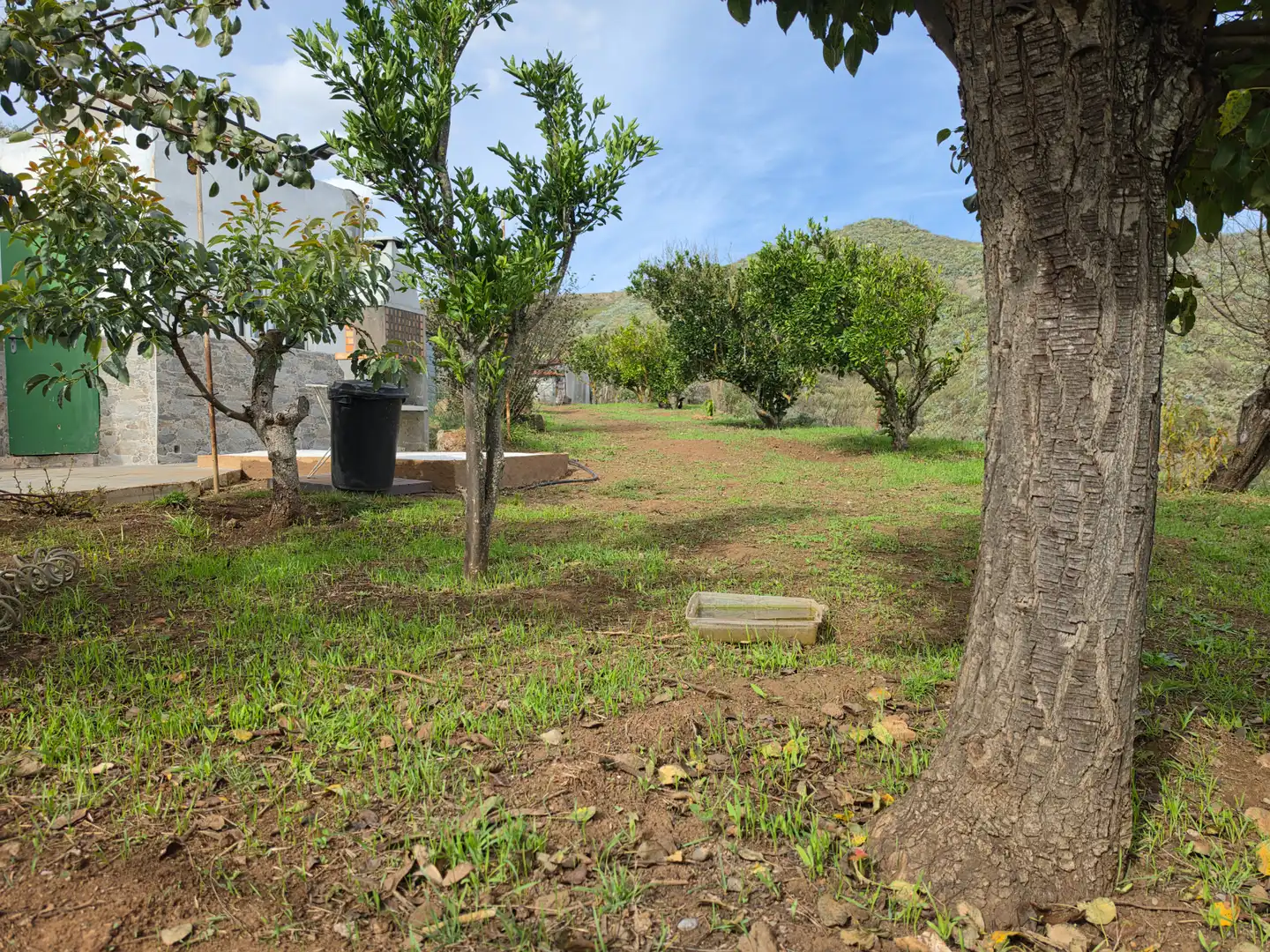 Finca rústica en venta en El Palmar