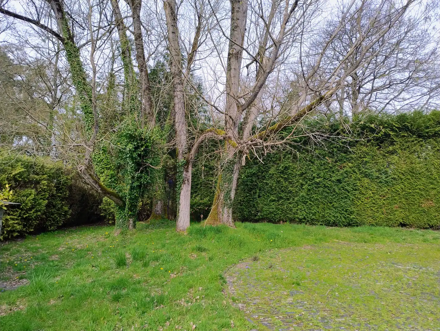 Casa o chalet en venta en Lugo con Amueblado
