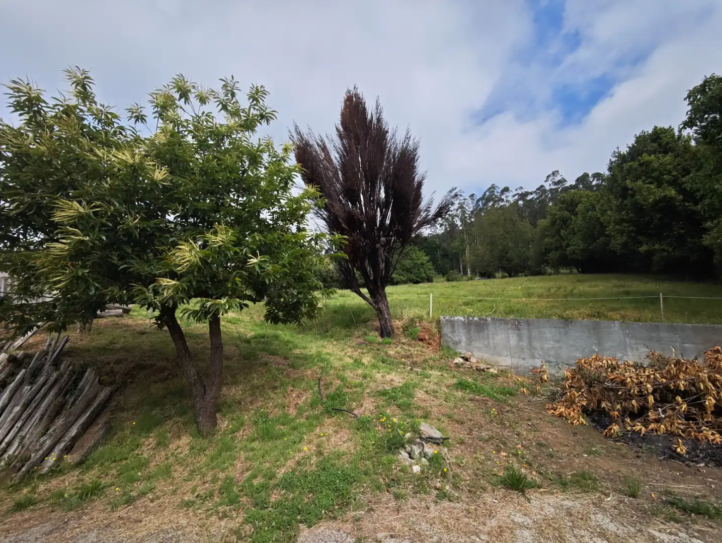 Houses for sale in Moeche  with Private garden