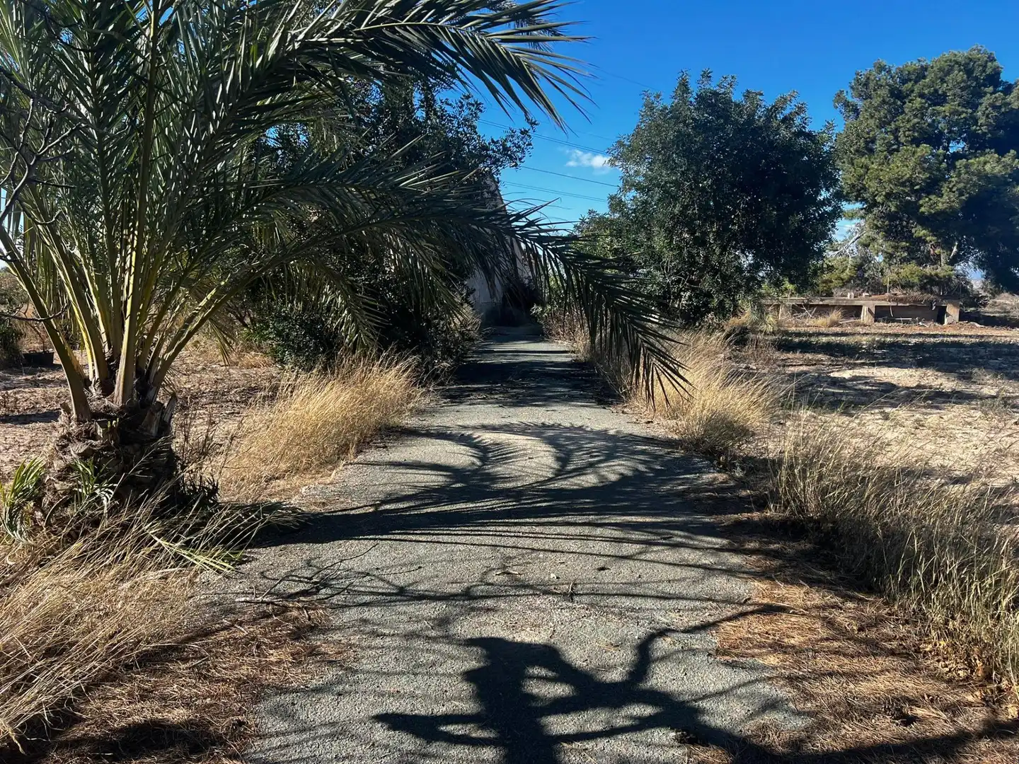 Casa o xalet en venda a Perleta - Maitino