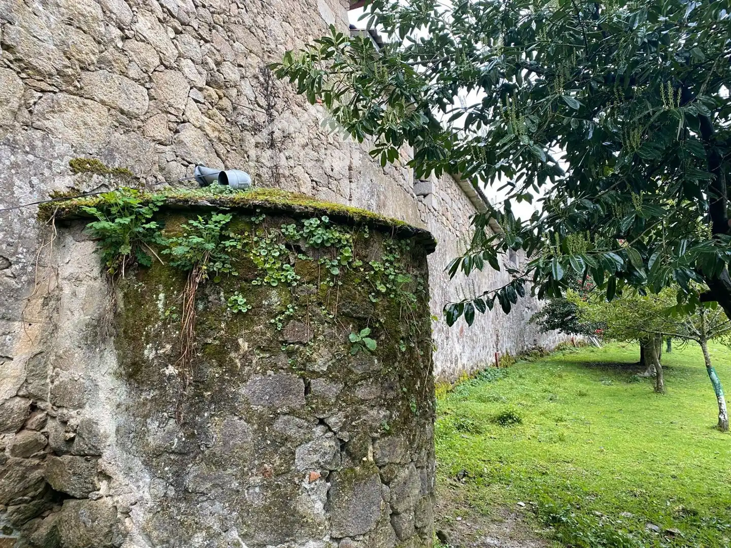 Exterior view of Buildings for sale in Pantón