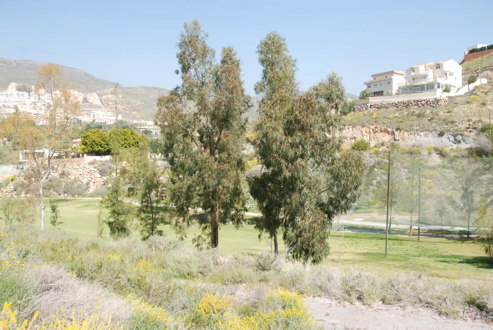 Terreno residencial en venta en Calle los Olivos, imagen 21