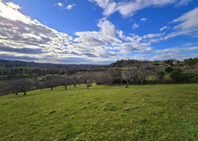 Terreno residencial en Venta en Vega