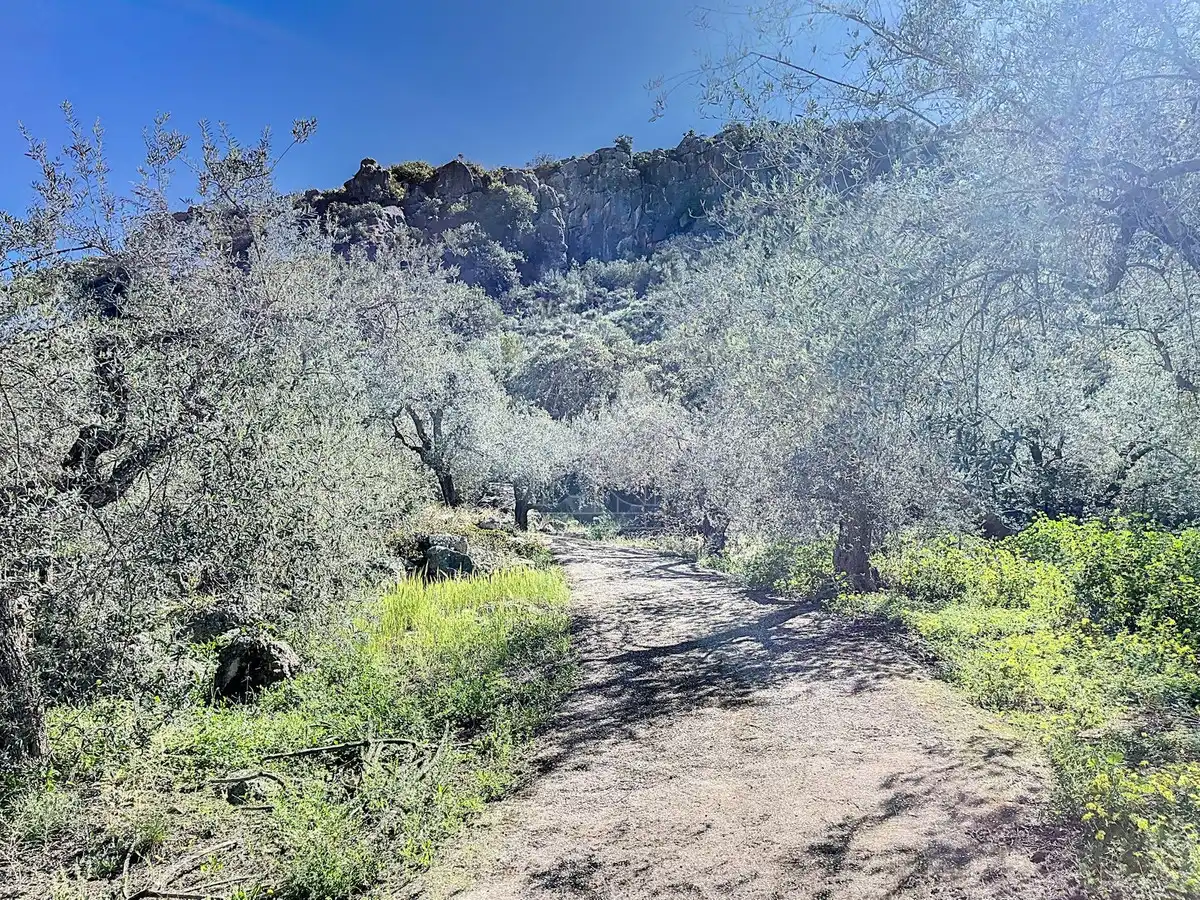 Vista exterior de Finca rústica en venta en Comares con Aire acondicionado, Jardín privado y Terraza