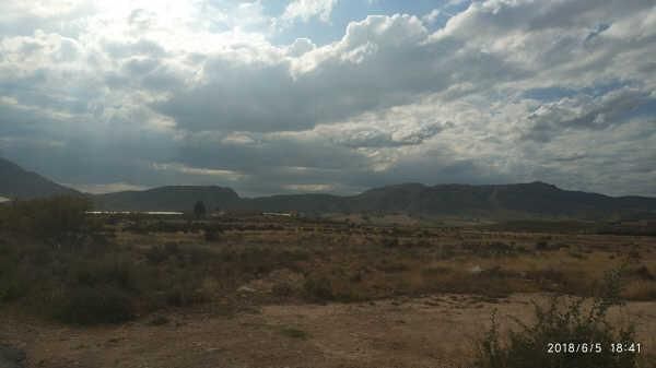 Land for sale in Abarán
