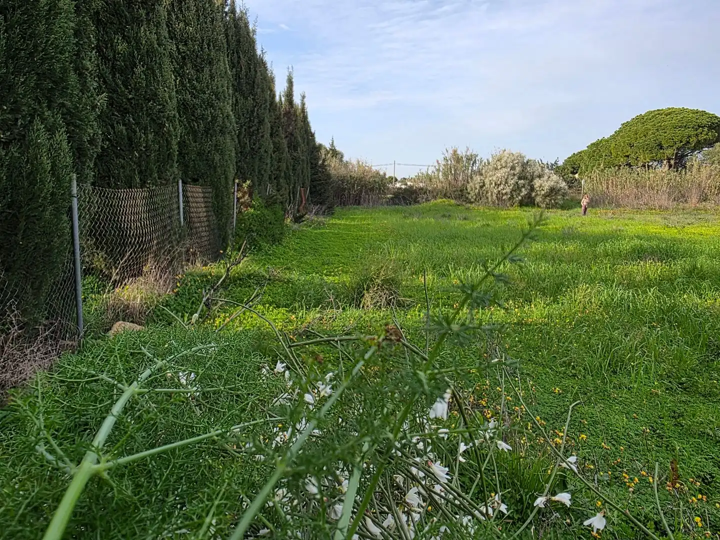Terreni e lotti in affitto a CA-3113 0, imagen 8