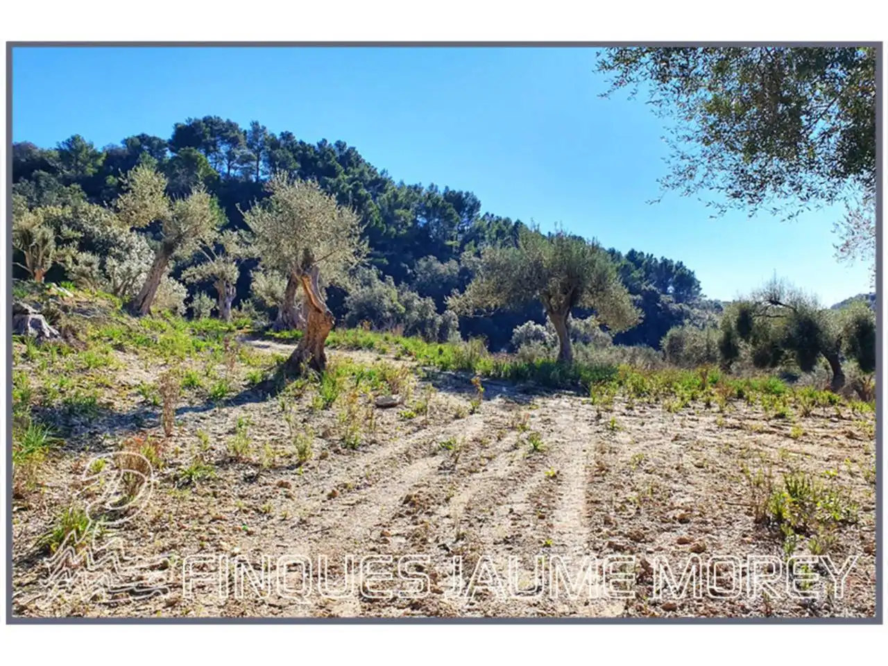Finca rústica en venta en Mancor de la Vall con Jardín privado y Terraza