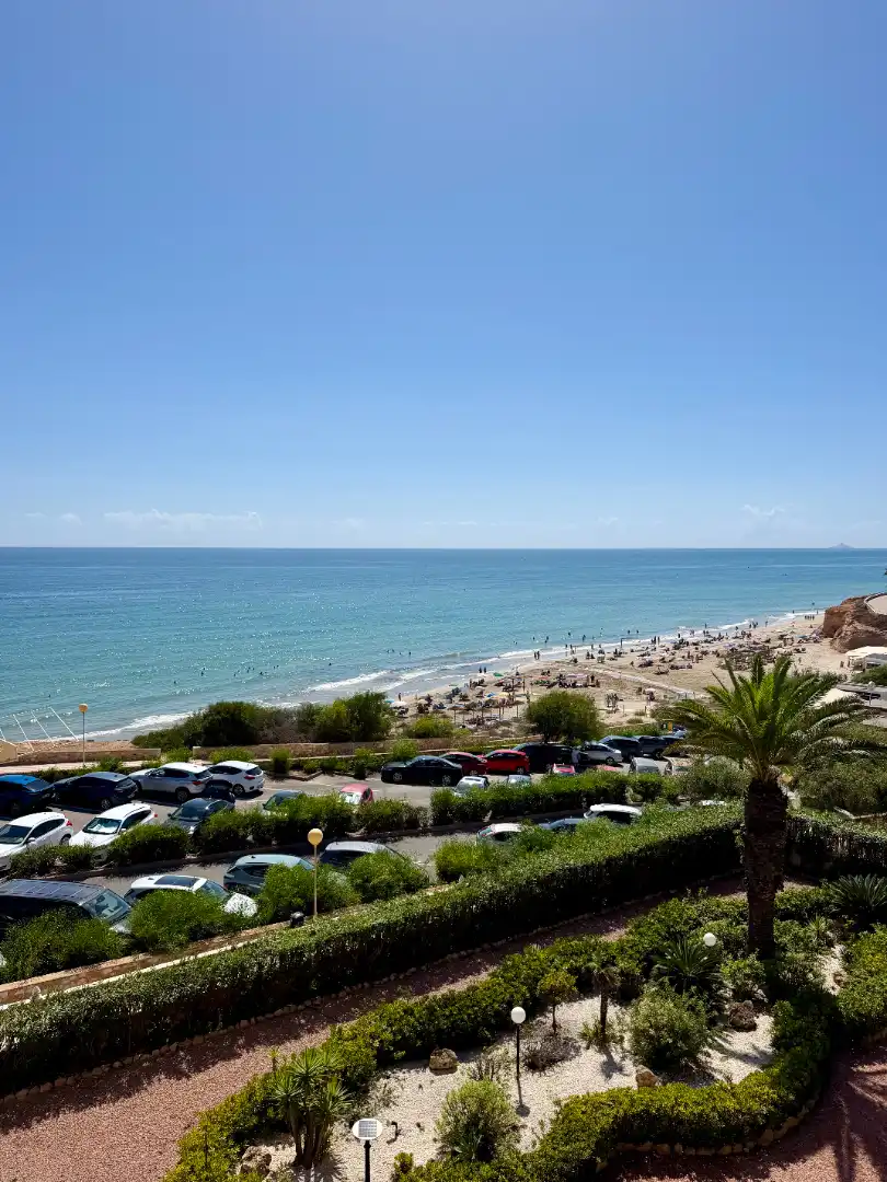 Appartement avec terrasse à vendre à Urbanizacion Mil Palmeras, imagen 6