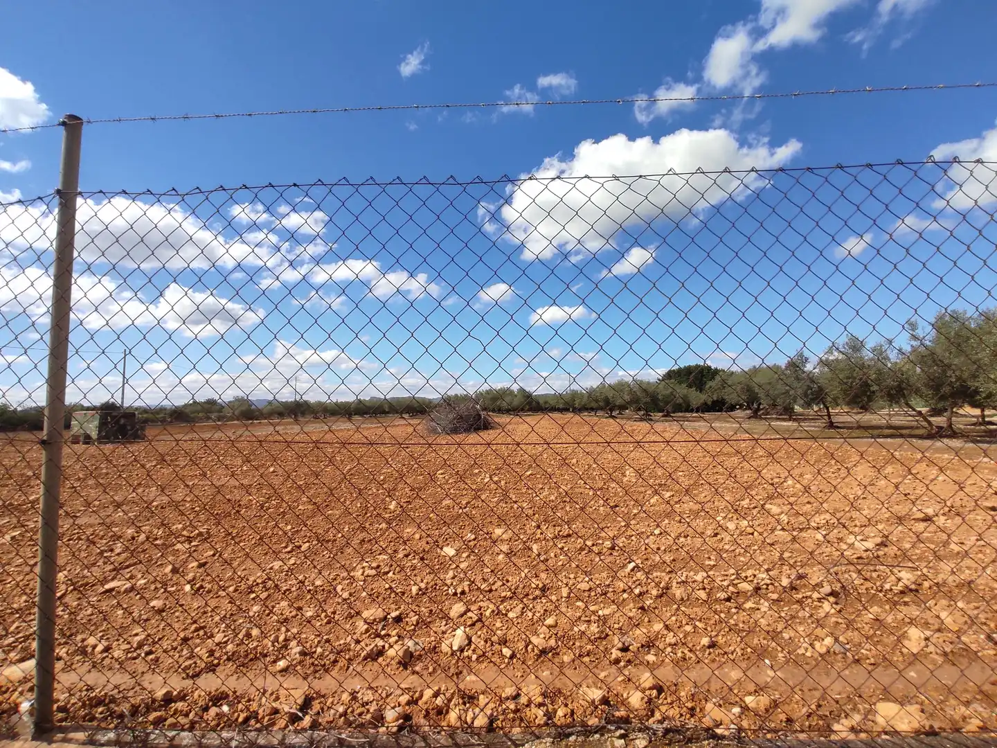 Terreno rustico in vendita a Traiguera, imagen 27
