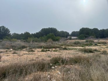 Residential land for sale in Calle Don Quijote de la Mancha