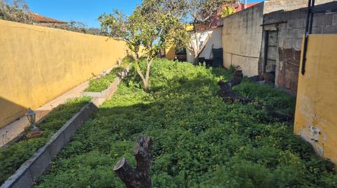 Foto 3 de Casa o chalet en venta en Calle Los Abales, Tacoronte - Los Naranjeros, Tacoronte