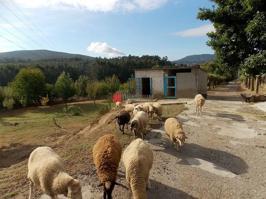 Vista exterior de Casa o xalet en venda en Padrón amb Jardí privat