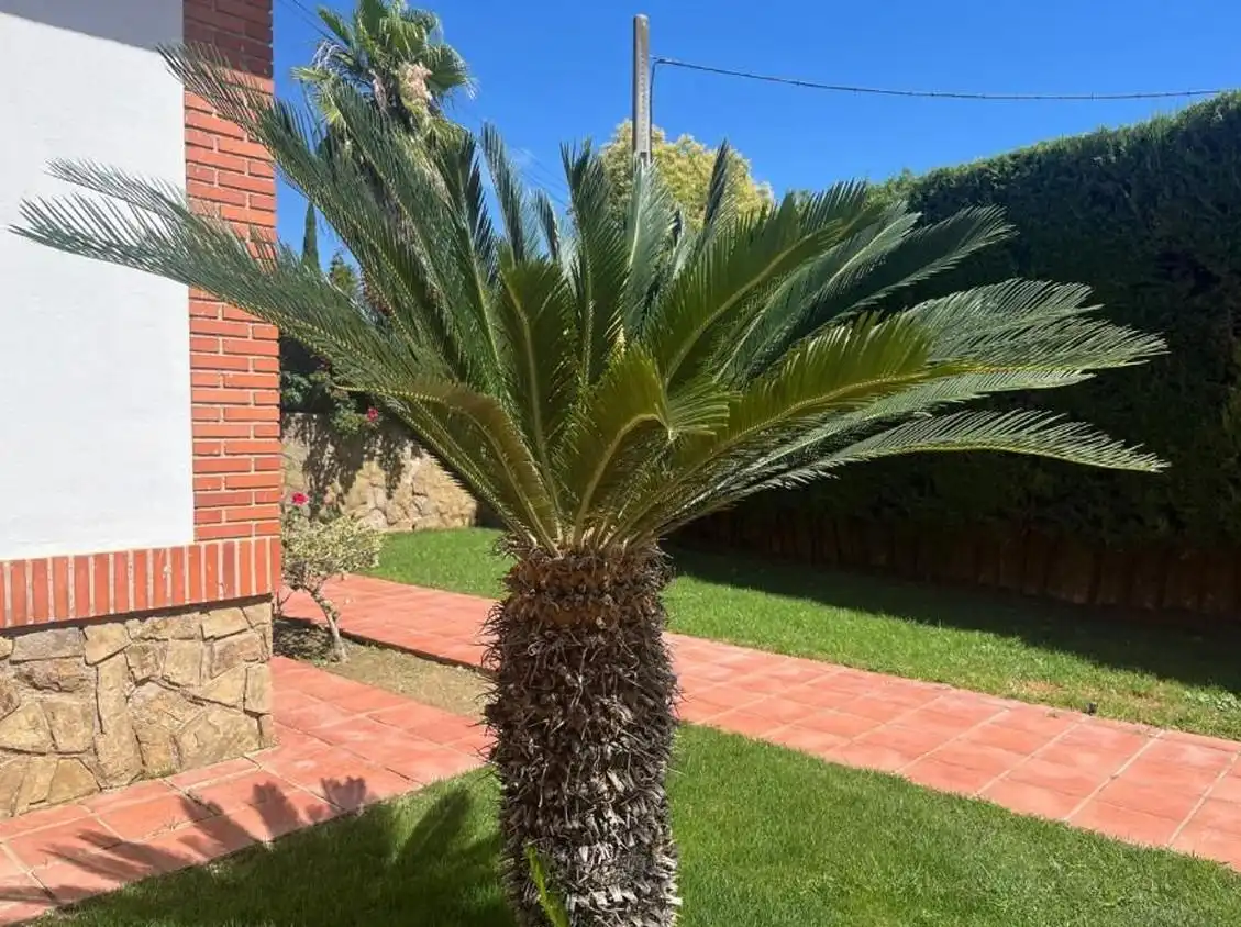 Jardí de Casa o xalet en venda en Córdoba amb Aire condicionat, Jardí privat i Terrassa