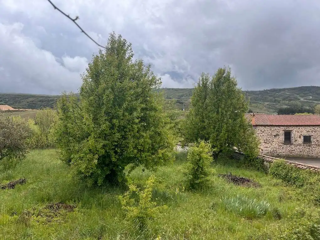 Casa en venda a Soto y Amío, imagen 20