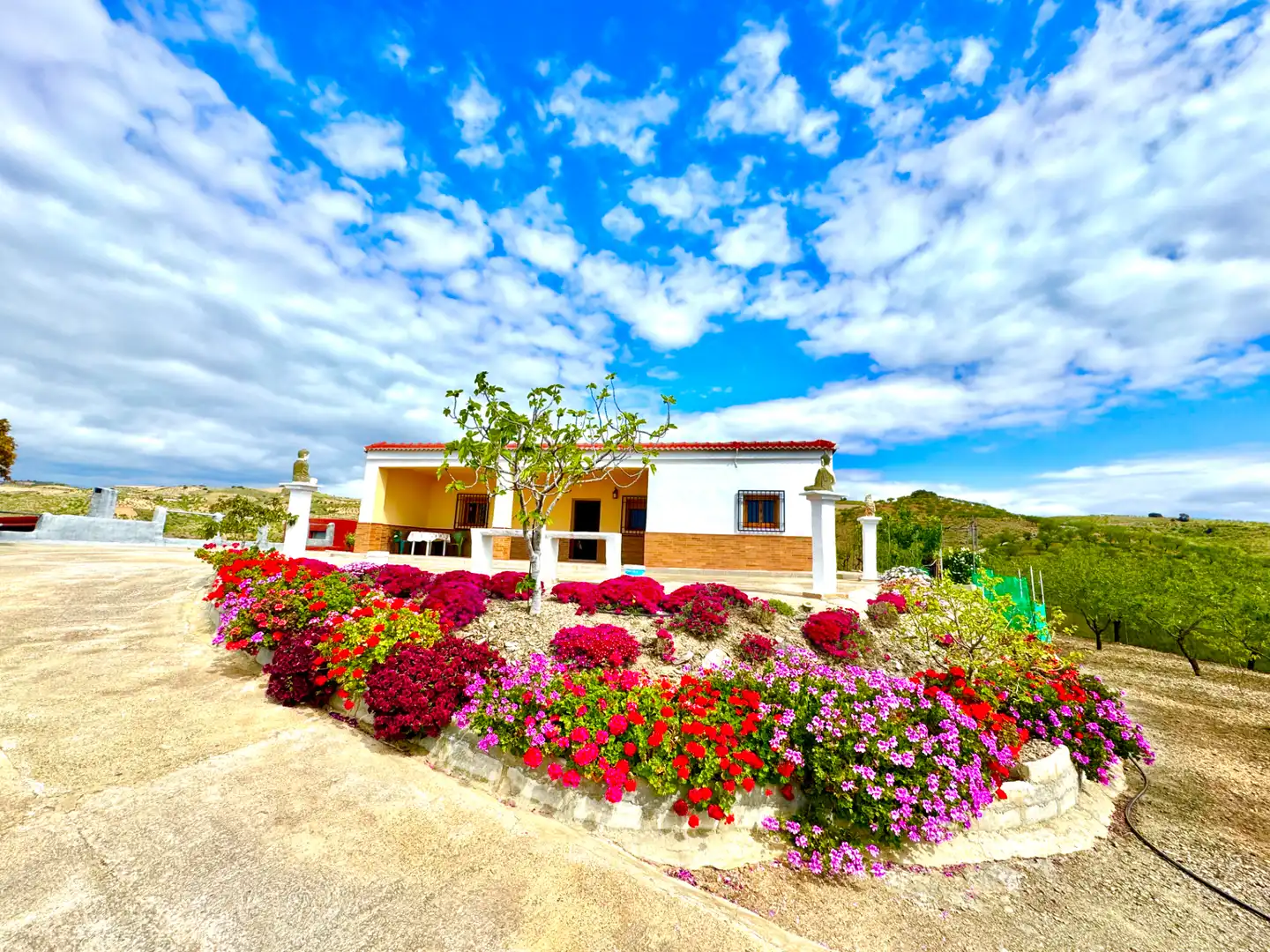Exterior view of Country homes for sale in Albondón  with Private garden, Terrace and Storage room