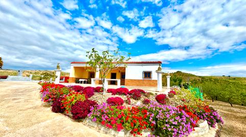 Foto 5 de Finca rústica en venda a N/a, -1, Albondón, Granada