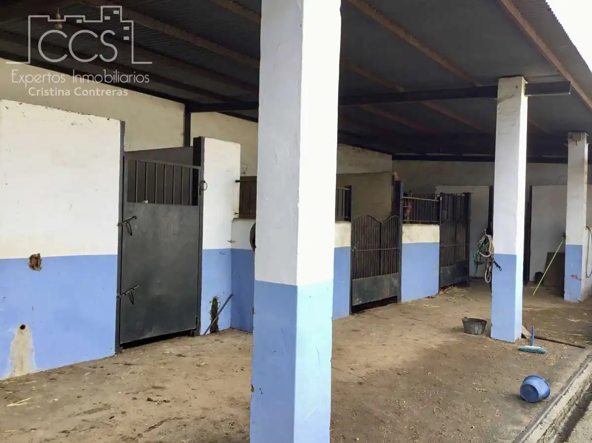 Casa rústica en venda a Almonte ciudad, imagen 40