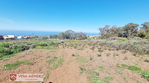 Foto 4 de Finca rústica en venta en Tacoronte - Los Naranjeros, Tacoronte