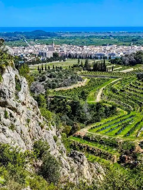 Pis amb terrassa en venda a Pego, imagen 55