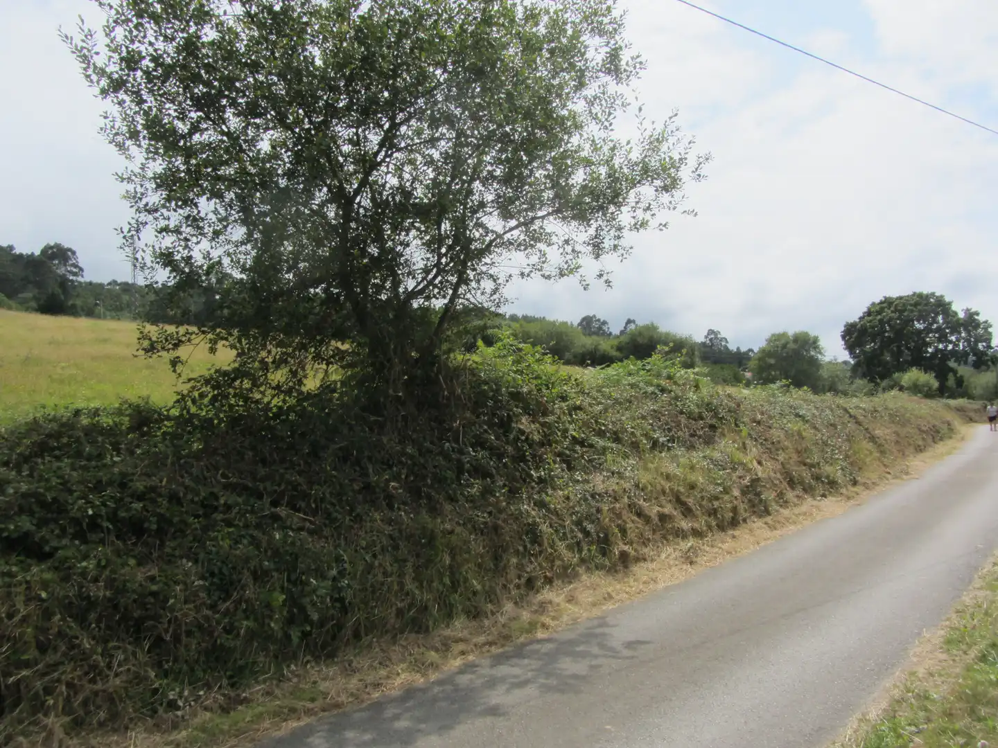 Terreny residencial en venda a Camin de los Payares, imagen 12