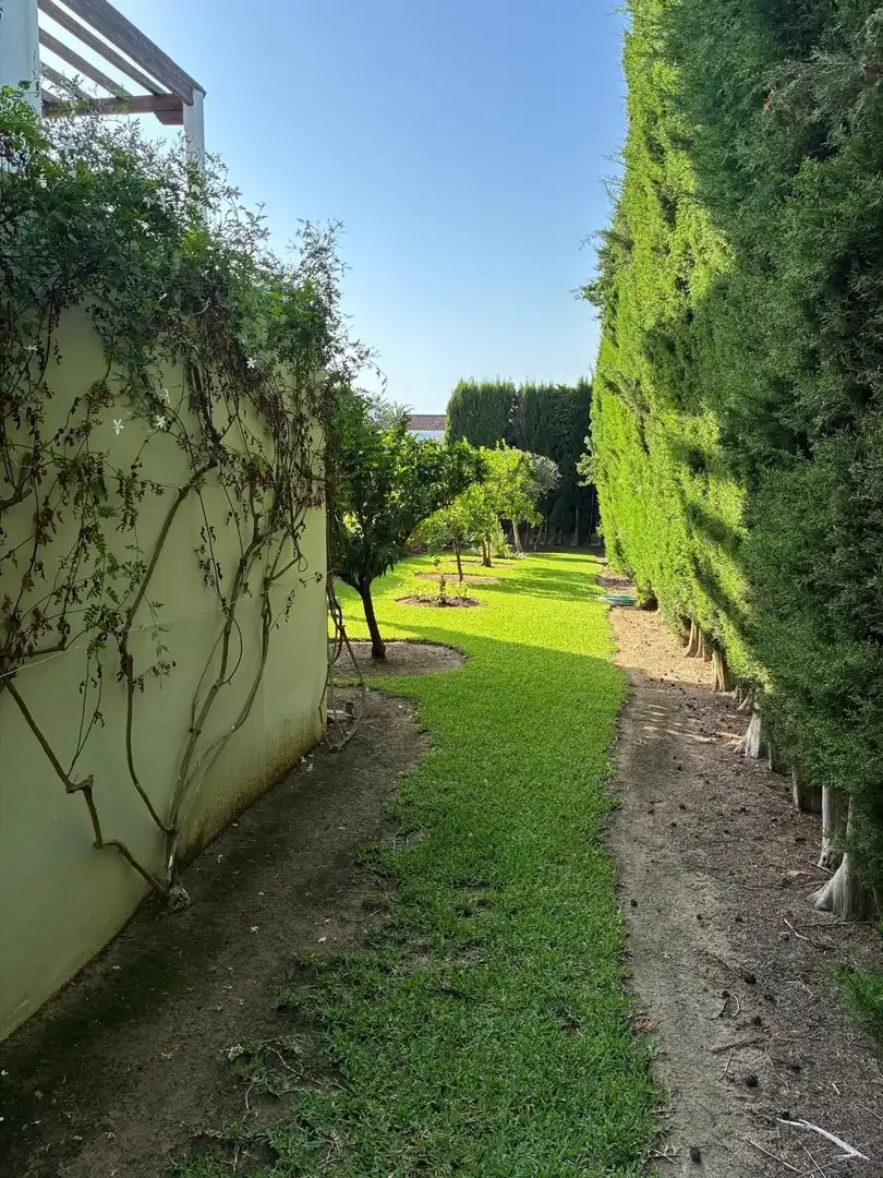 Detached house with pool for sale in Mijas Golf, imagen 19