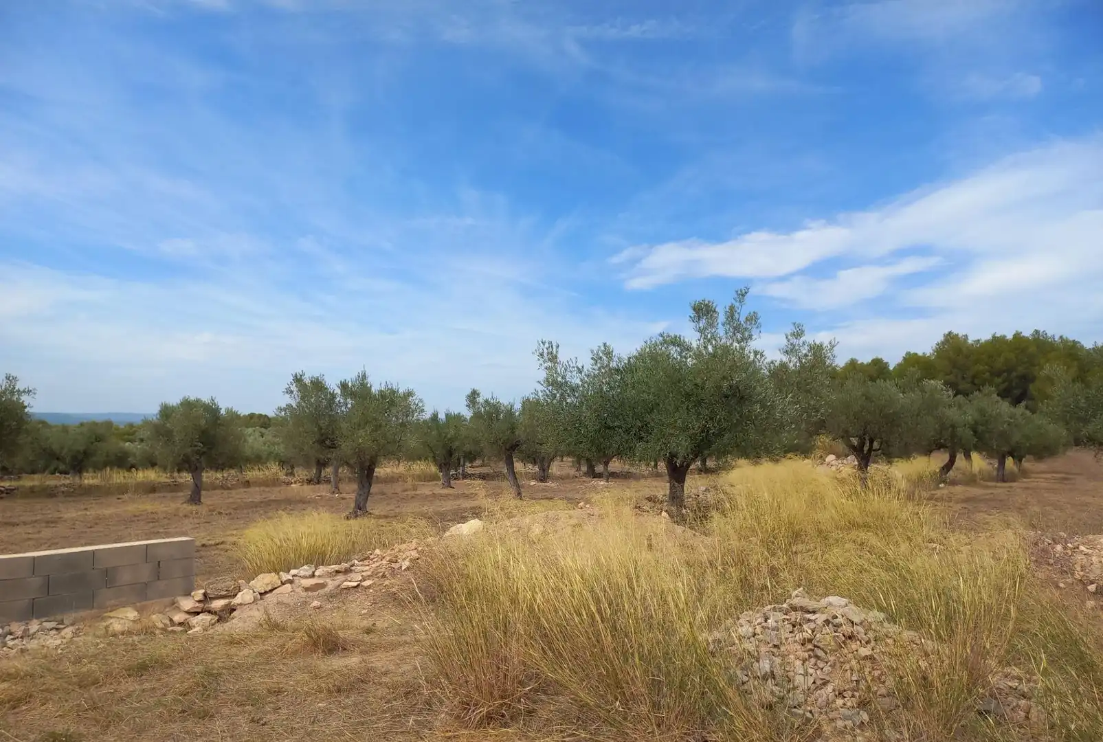 Finca rústica en venta en Tivissa
