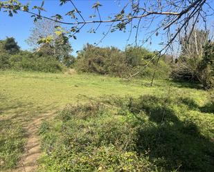 Land for sale in Caravia