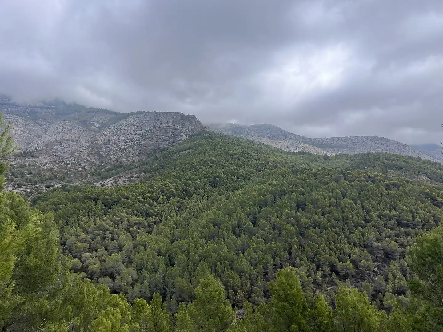 Terreny residencial en venda a Callosa d'en Sarrià, imagen 8