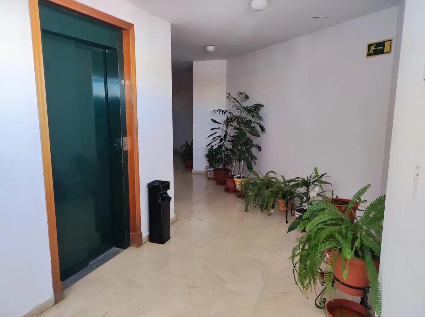 Wohnungen zum Verkauf in C. Asensio y Toledo, 12, #PLANTA 3, Bellavista