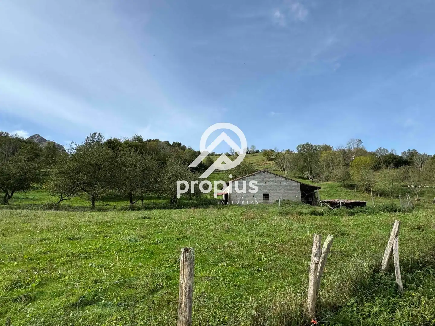 Rural land for sale in Inguanzo, imagen 4