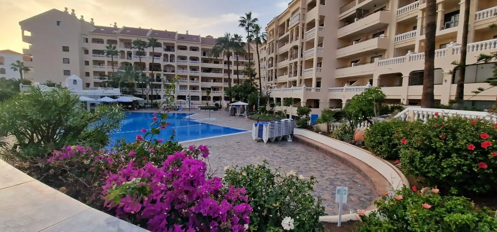 Piscina de Estudi de lloguer en Arona amb Jardí privat, Terrassa i Moblat