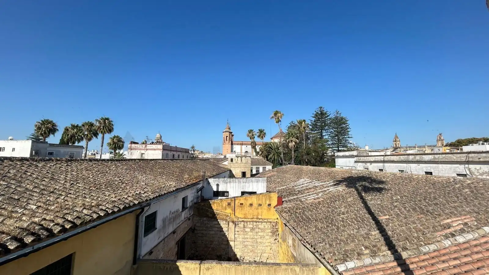 Vista exterior de Piso en venta en Jerez de la Frontera con Balcón