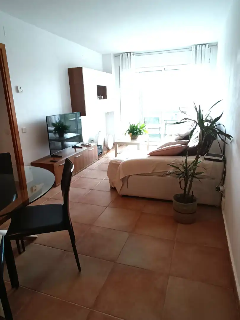 Sala d'estar de Pis de lloguer en Palafrugell amb Calefacció, Moblat i Forn