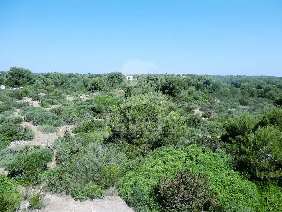 Terreno en venta en Ciutadella de Menorca