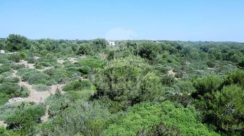 Foto 2 de Terreno en venta en Cala Morell, Ciutadella de Menorca