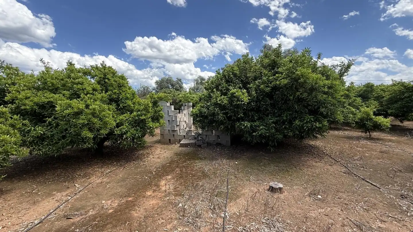 Terrain rustique à vendre à La Pobla Llarga, imagen 11