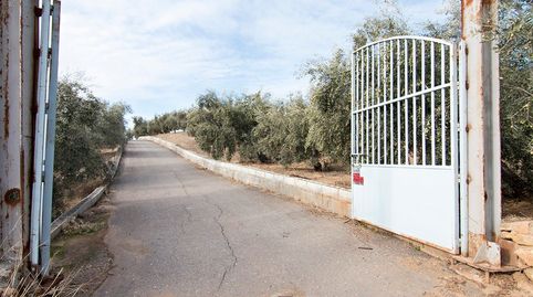 Foto 3 de Finca rústica en venta en Loja, Granada