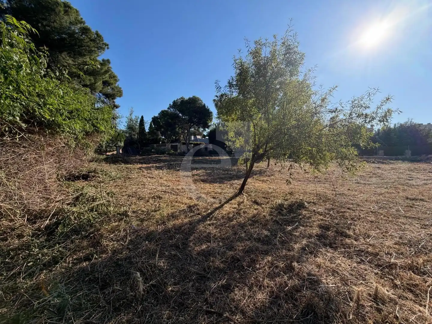 Residential land for sale in Santa Bárbara, imagen 3