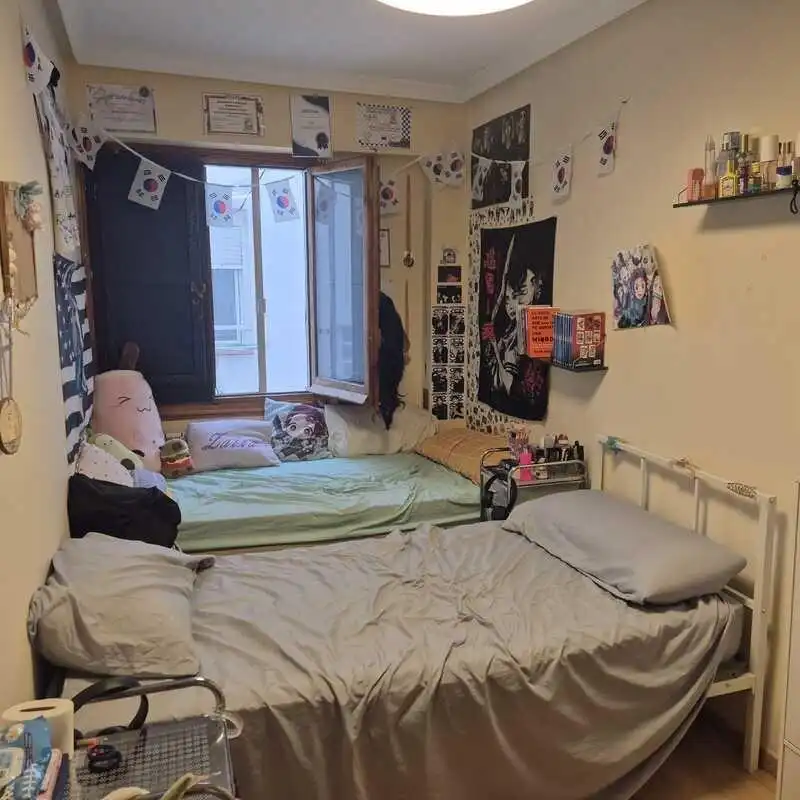 Flat with terrace for sale in Calle ALEJANDRO OLIVAN, imagen 9