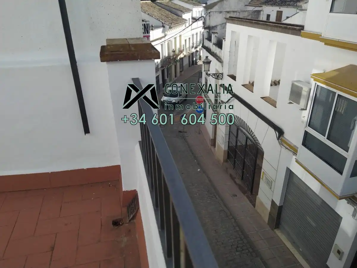 Exterior view of Houses for sale in Olvera  with Terrace and Balcony
