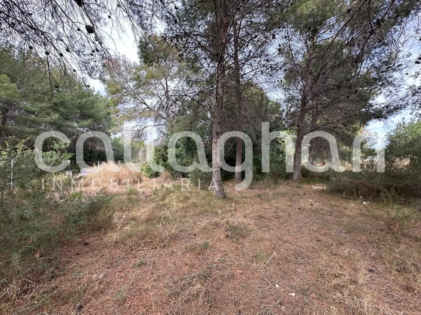 Terreny residencial en venda a Calle ESPARVER, imagen 16